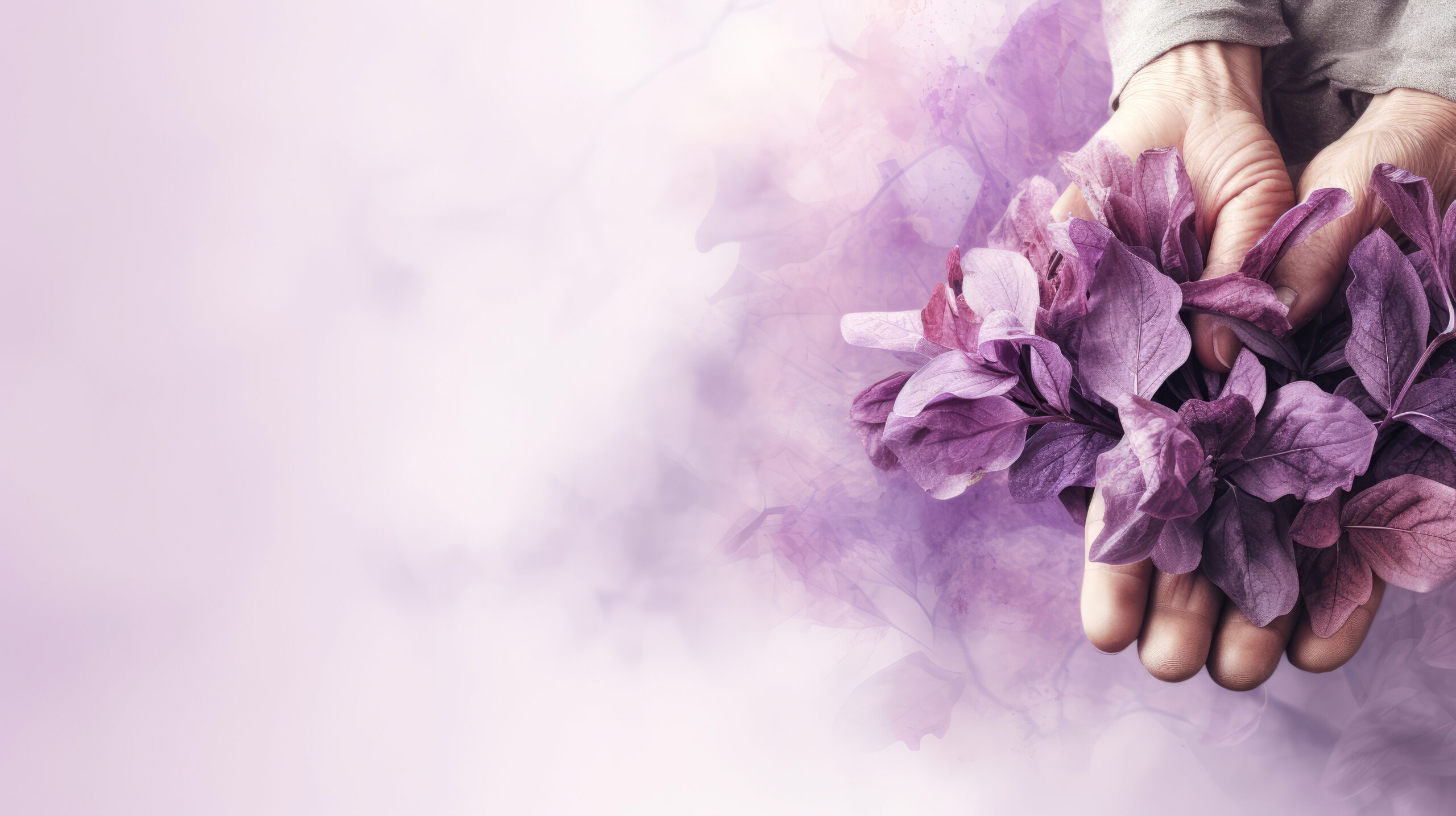 Featured image for “Elder Abuse Awareness Fair – June 4”