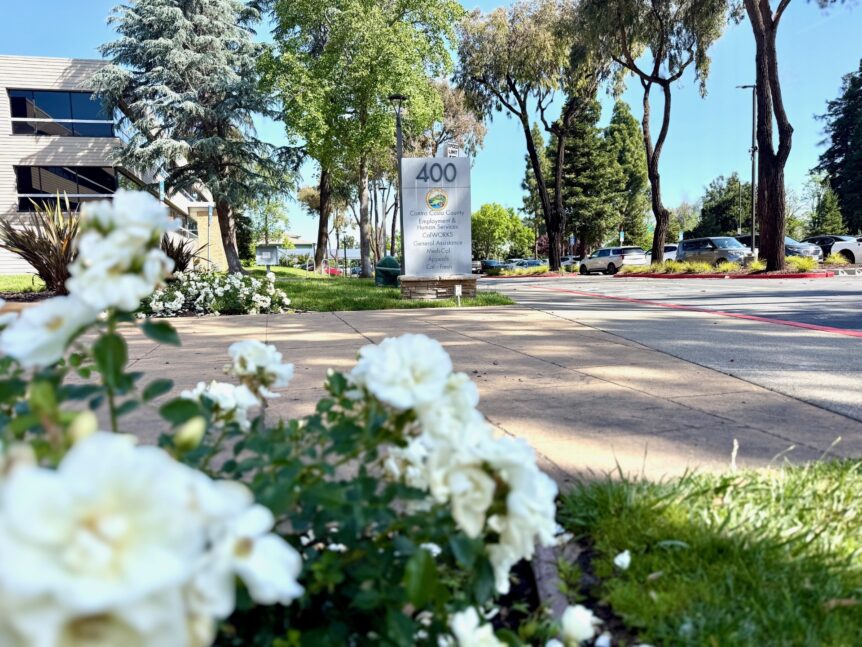 A county building with flowers out front and the address displaying prominently.