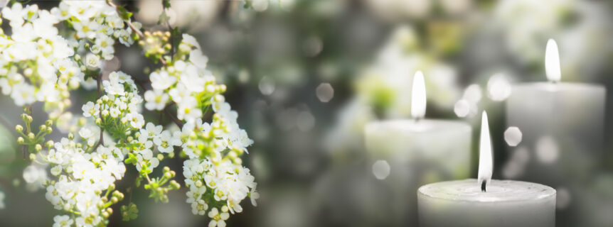 decorative image